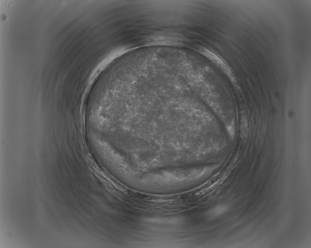 X0000085731419200704091432