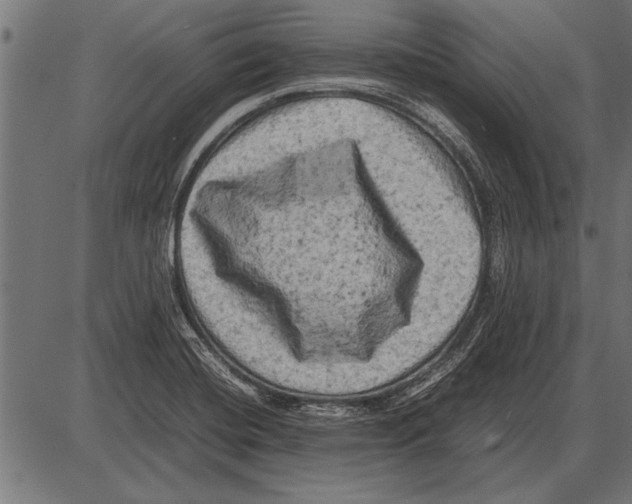 X0000085731420200704091432