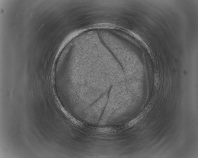 X0000085731421200704091432