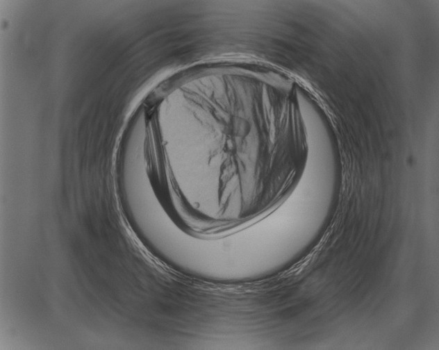 X0000085731422200704091432