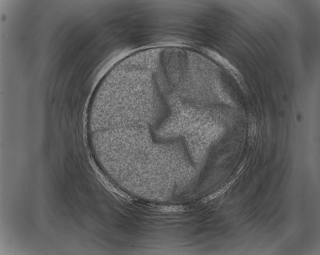 X0000085731423200704091432