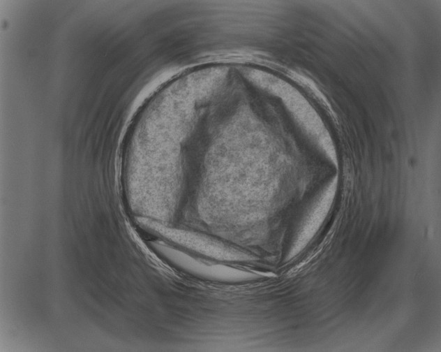 X0000085731424200704091432