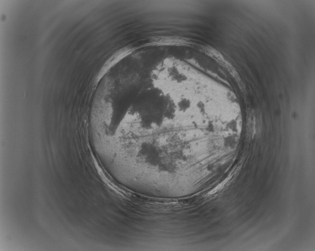 X0000085731425200704091432