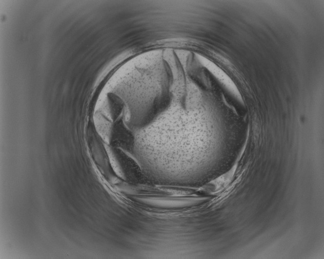 X0000085731426200704091432