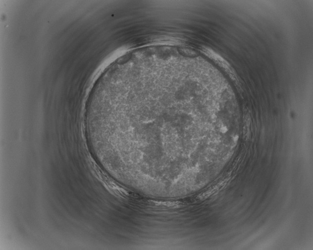 X0000085731427200704091432