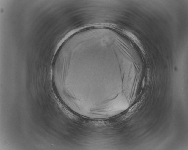 X0000085731428200704091432