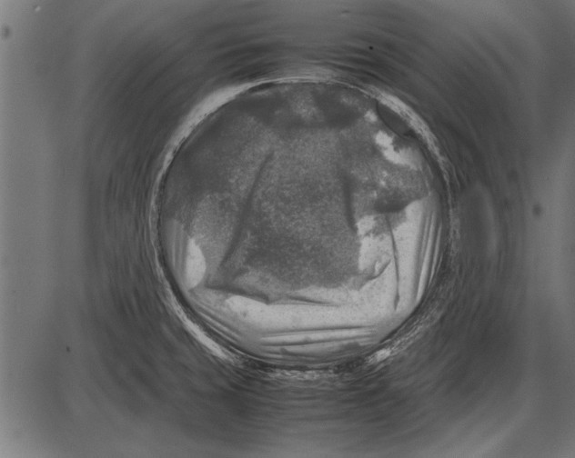 X0000085731429200704091433