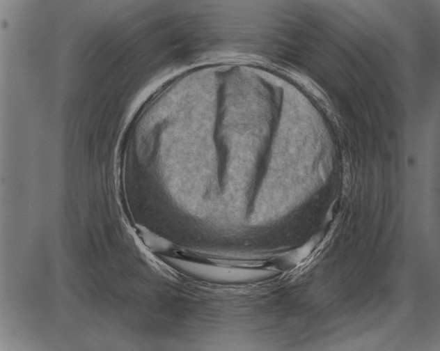 X0000085731430200704091433