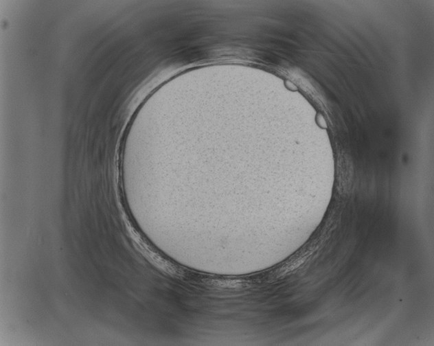 X0000085731431200704091433