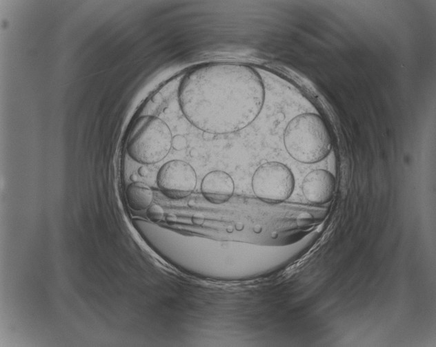 X0000085731432200704091433