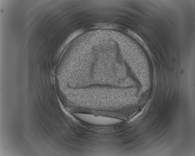 X0000085731433200704091433