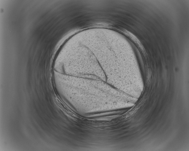 X0000085731435200704091433