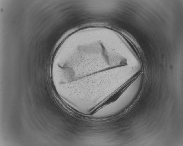 X0000085731436200704091433