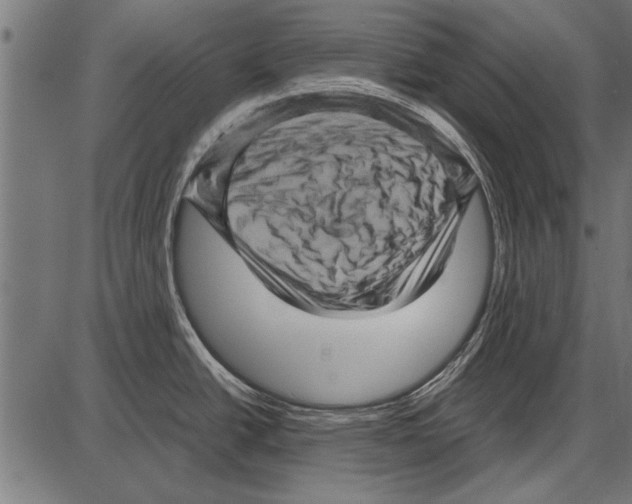 X0000085731438200704091433