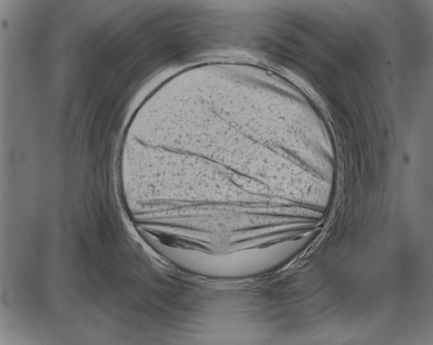 X0000085731440200704091433