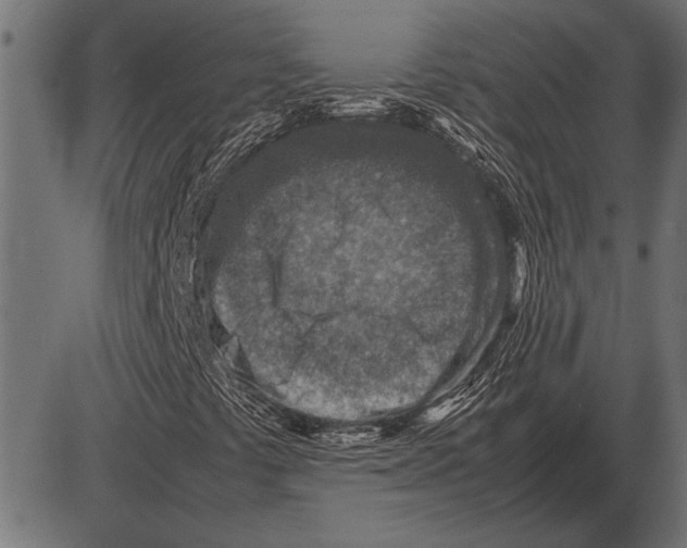 X0000085731441200704091432