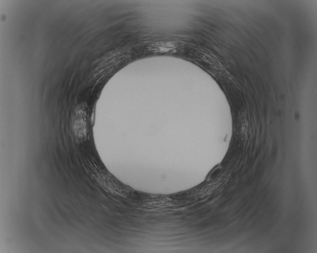 X0000085731442200704091432