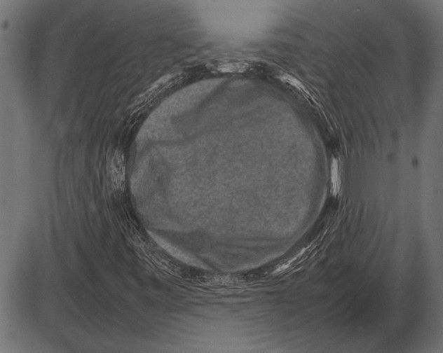 X0000085731443200704091432