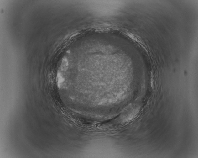 X0000085731445200704091432