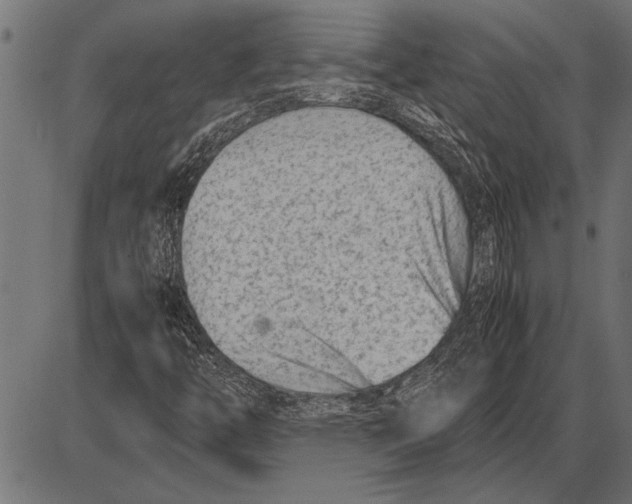 X0000085731446200704091432