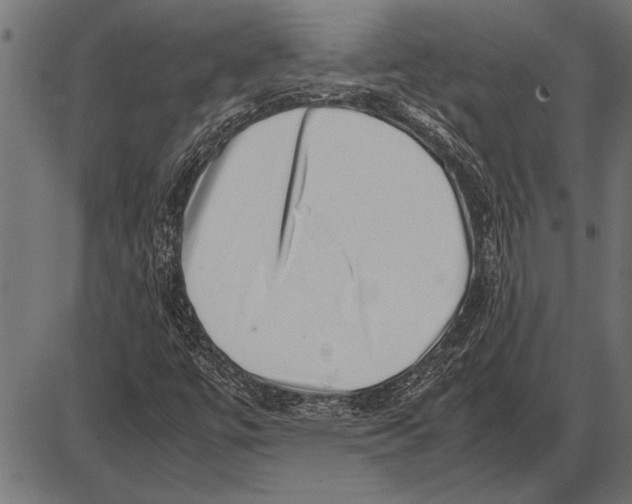 X0000085731447200704091432