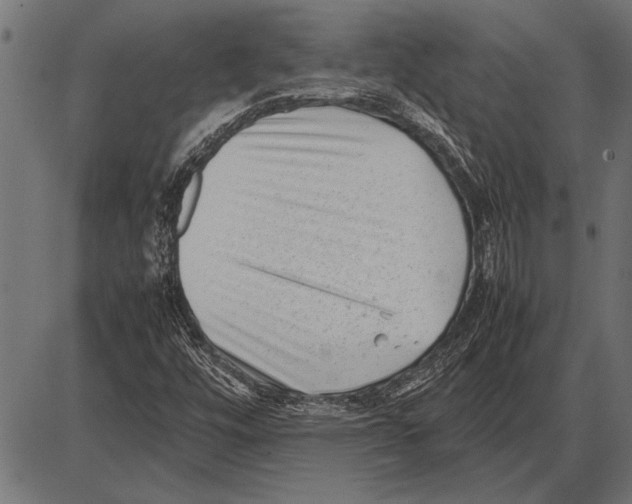 X0000085731448200704091432