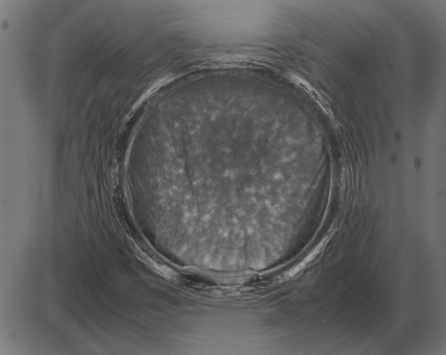 X0000085731449200704091432