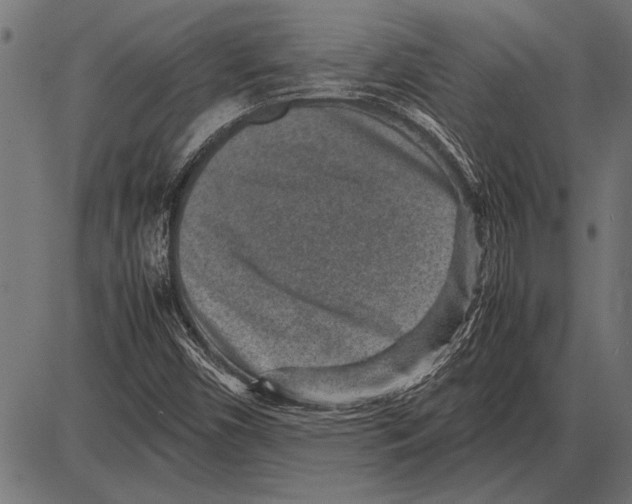 X0000085731450200704091432