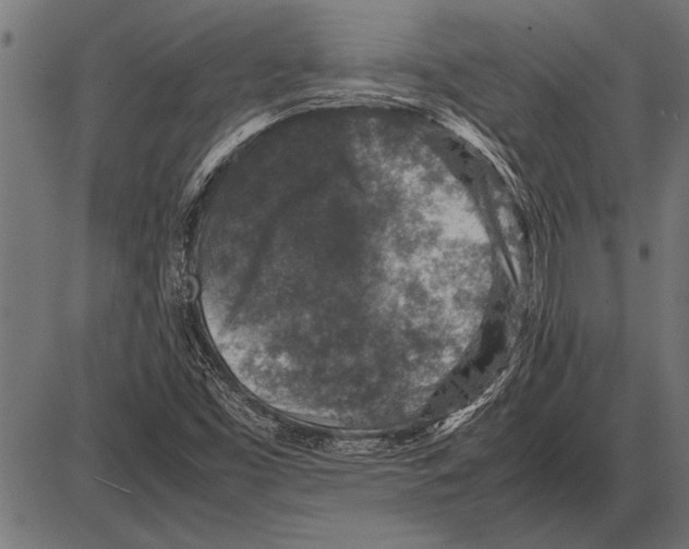 X0000085731453200704091432