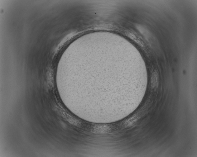 X0000085731454200704091432