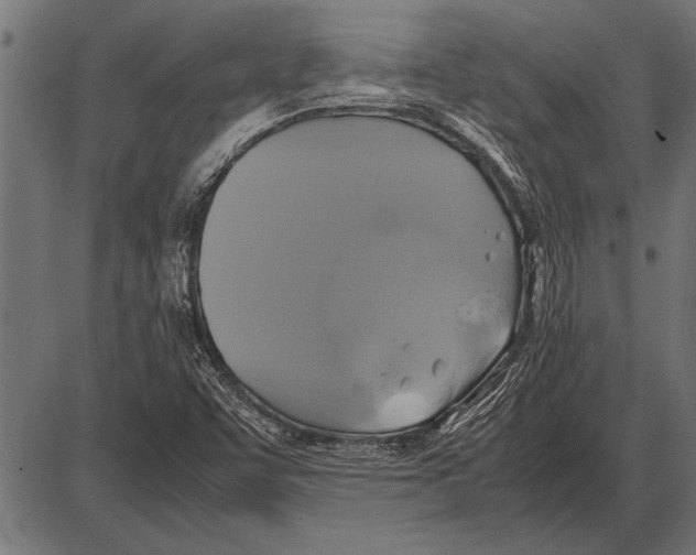 X0000085731455200704091432