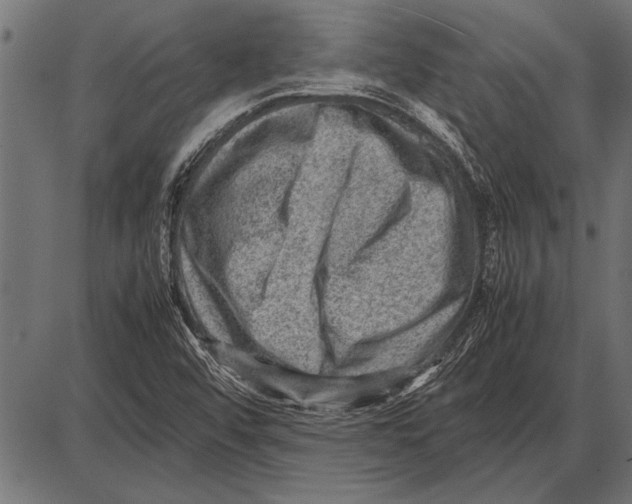 X0000085731456200704091432