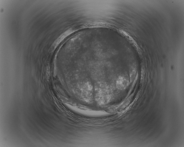 X0000085731457200704091432