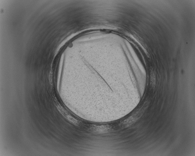 X0000085731460200704091432