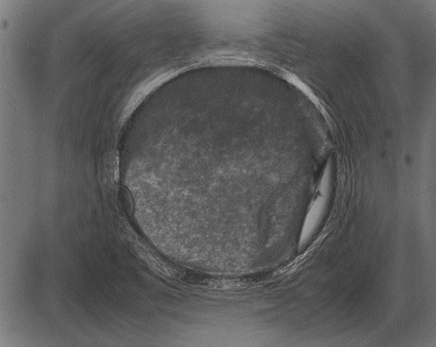 X0000085731461200704091432