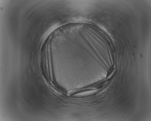 X0000085731463200704091432