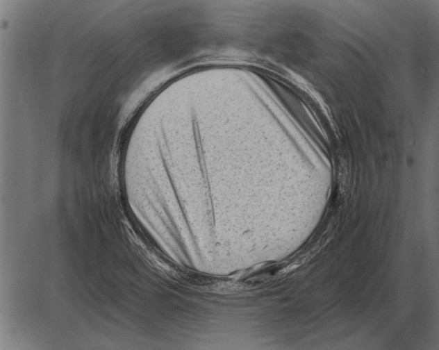 X0000085731464200704091432