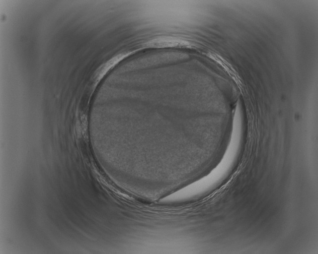 X0000085731465200704091431