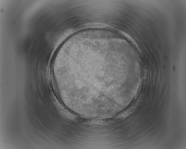 X0000085731466200704091431