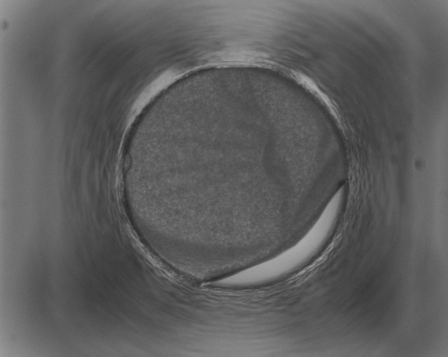 X0000085731469200704091431