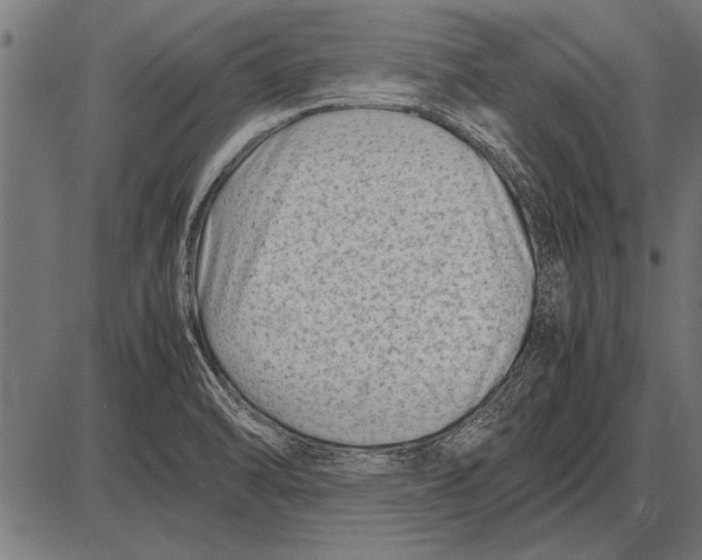 X0000085731470200704091431