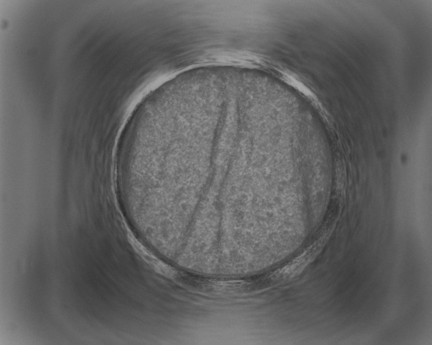 X0000085731471200704091431