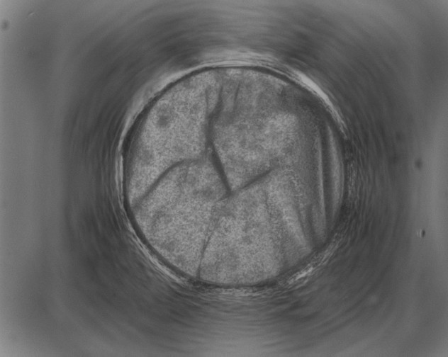 X0000085731472200704091431