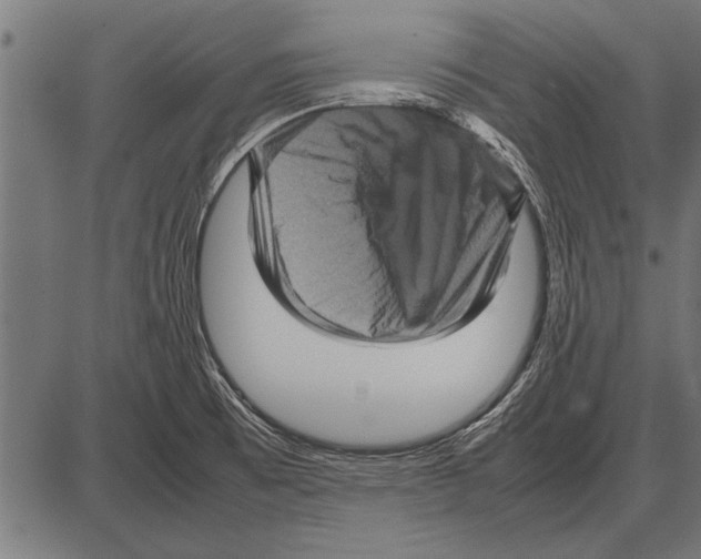 X0000085731473200704091431