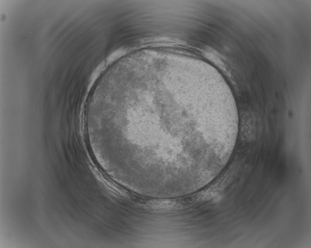 X0000085731474200704091431