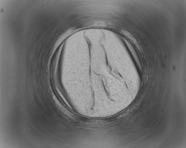 X0000085731475200704091431