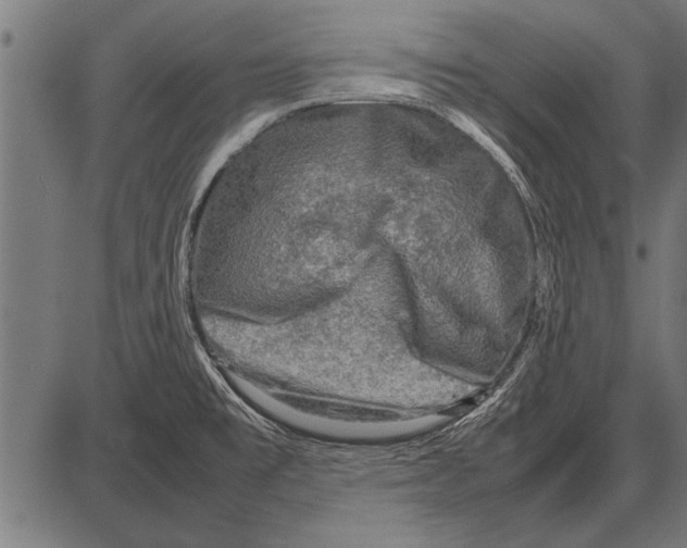 X0000085731477200704091431