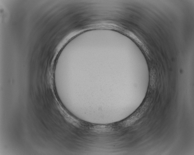 X0000085731478200704091431