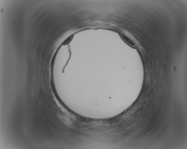 X0000085731479200704091431