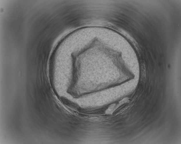 X0000085731480200704091431